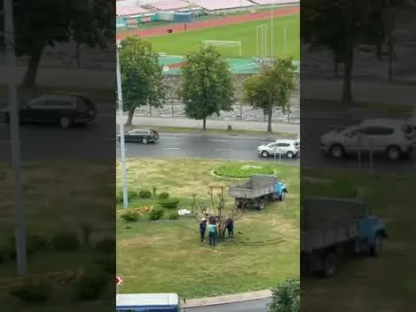 У Луцьку біля історичного факультету прибрали коване дерево (фото, відео)