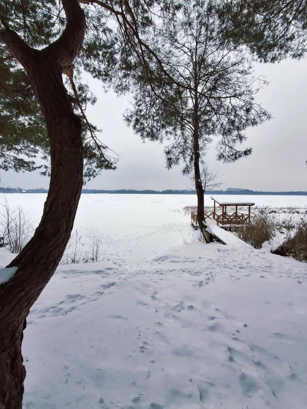 Яким стало популярне серед відпочивальників озеро біля Шацька (фото)