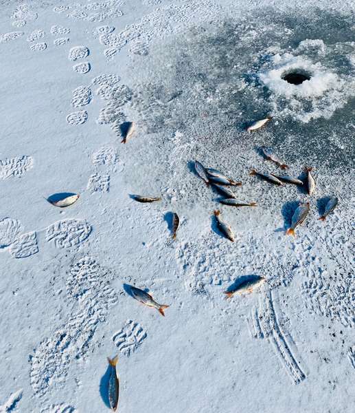Рибалили і збирали кошти на ЗСУ: на Люцимері влаштували змагання з підлідного лову (фото)