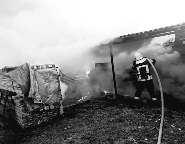 Все в диму: на підприємстві біля Луцька загорілася деревина (фото)