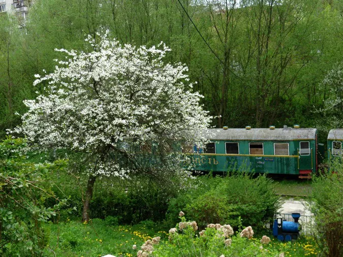 Руїни дитячої залізниці у Луцьку (фото)