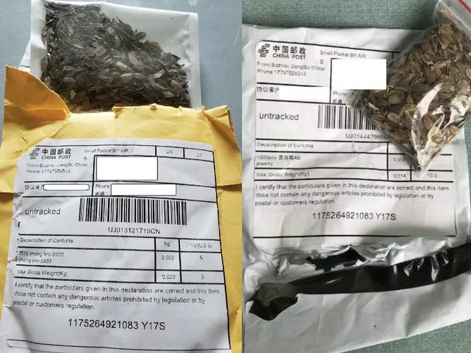 Дивні посилки з Китаю під час пандемії: в США вияснили, що було всередині