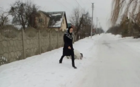 «Муніципали» ловлять  лучан, які викидають сміття на узбіччя (фото)