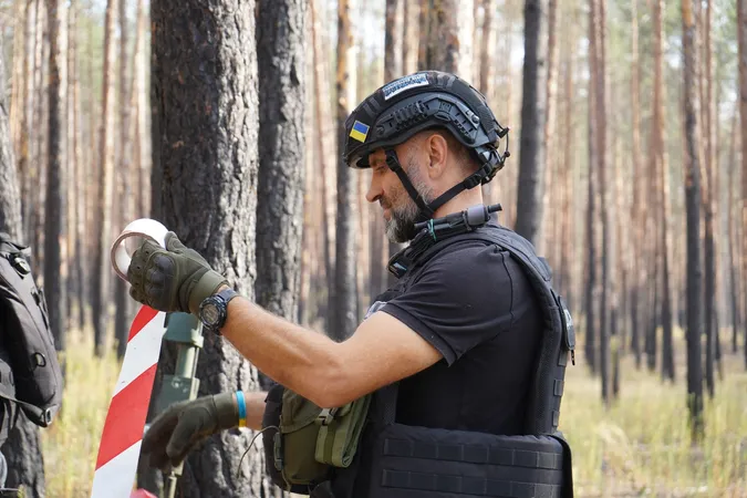 Як сапери з Волині розміновують ліс на Донеччині (фото)