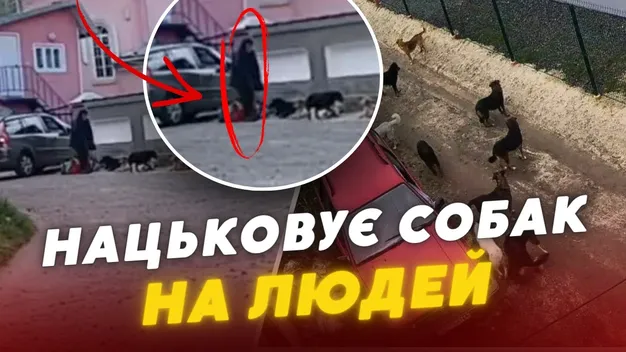 Б'є лопатою та нацьковує собак: у Ковелі жителі скаржаться на агресивного безхатька (відео)