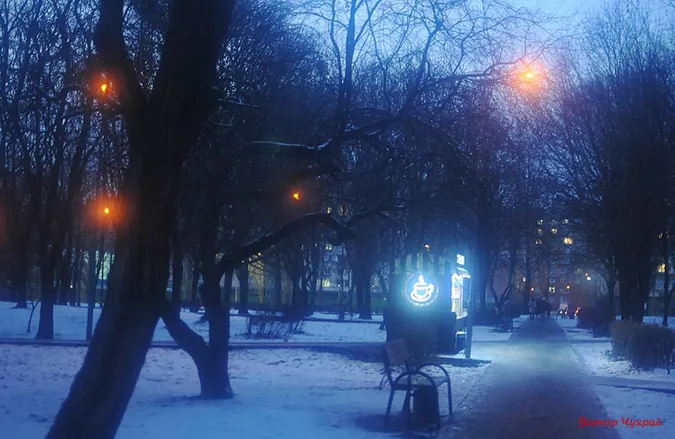 Різдвяна романтика: показали, як виглядає Луцьк у Святвечір (фото)