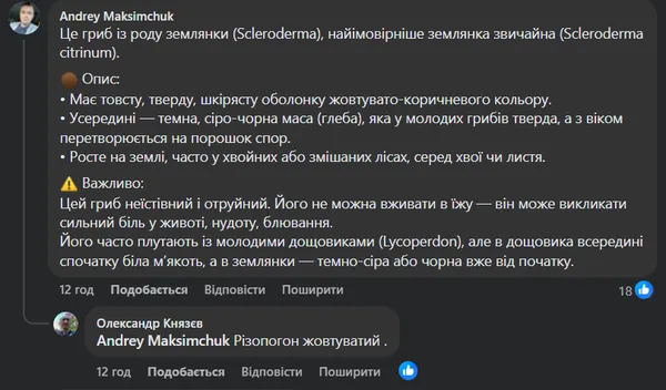 Ні ніжки, ні шапки, без верху і низу: у лісі на Волині знайшли дивний гриб, схожий на картоплю (фото)