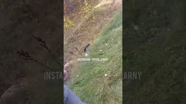 З авто діставали людей і овець: з'явилося відео аварії на Волині
