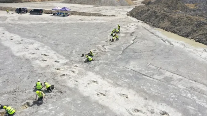 Знайшли понад 200 слідів динозаврів, що жили понад 160 мільйонів років тому