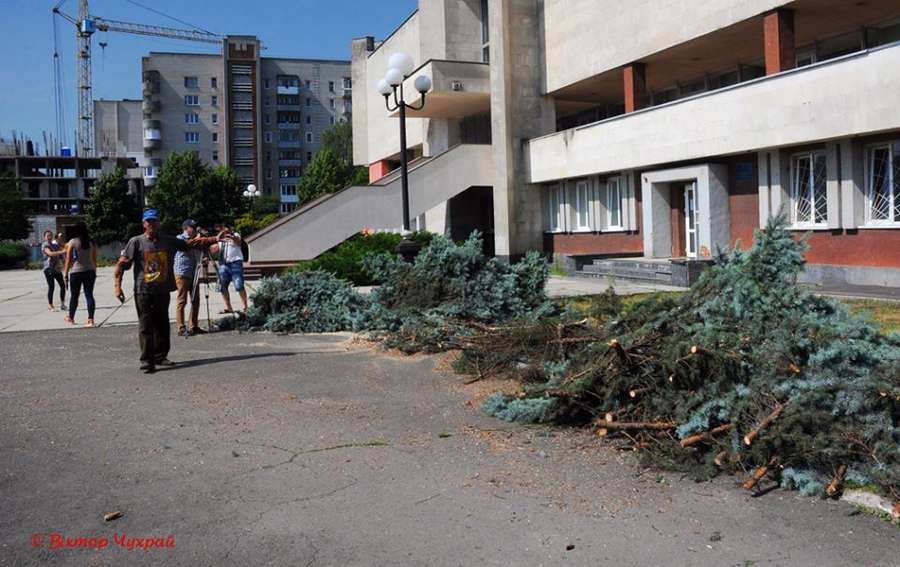 Перед РАЦСом в Луцьку зрізали останню блакитну ялинку (фото) 