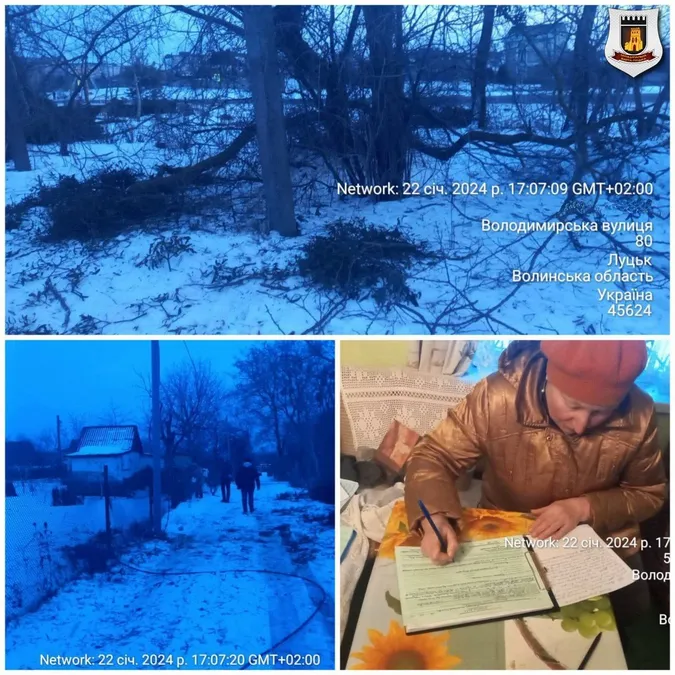 У Луцьку жінка вирішила зрізати акацію й пошкодила дроти електромереж