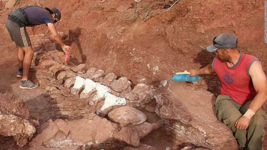 В Аргентині розкопали останки одного з найбільших динозаврів у світі