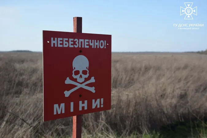 Волинські піротехніки підірвали артснаряди