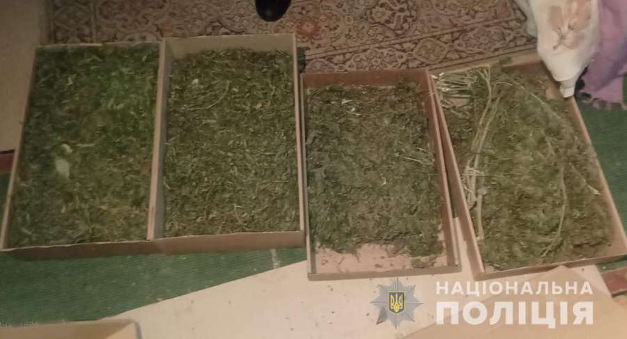 Бурштин і коноплі: поліція влаштувала обшуки в селах Луцького району (фото)