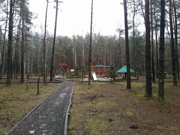 На Волині тестують сучасну програму для комунікації лісників 