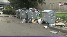 Подробиці сміттєвого колапсу в Луцьку (відео)