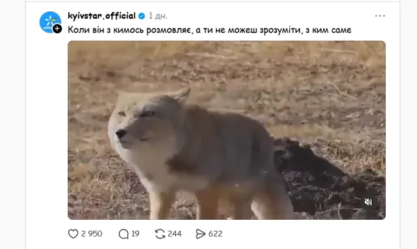 Мемна тибетська лисиця стала хітом соцмереж