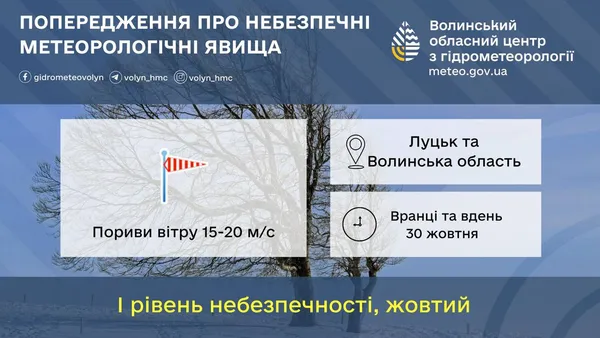 Пориви до 20 м/с: Волинь накриє сильний вітер