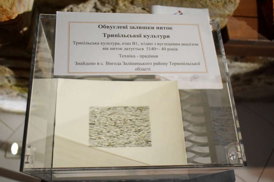 У Луцьку відкрили виставку артефактів Трипільської цивілізації (фото)