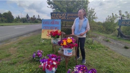 Волинянка на узбіччі продає квіти, а гроші віддає на потреби ЗСУ (фото)