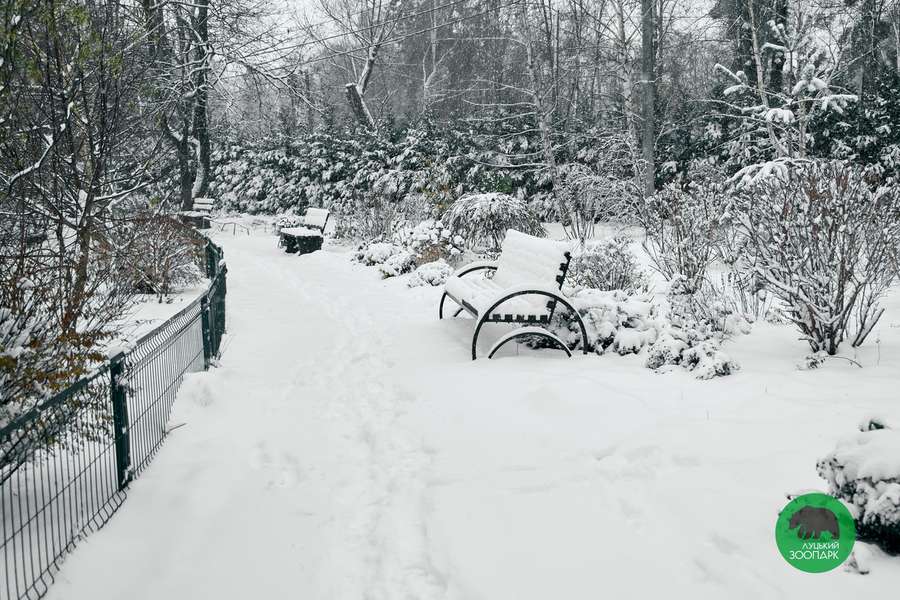 Луцький зоопарк накрило сніжною ковдрою (фото)