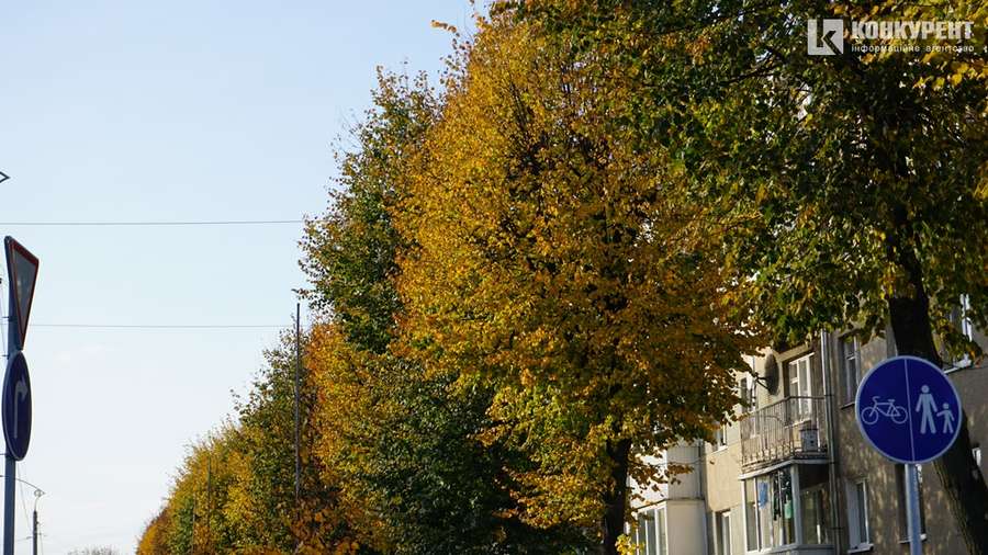 Осінь у Луцьку: місто заграло барвами (фото)