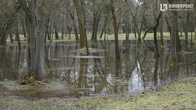 Мокрий луцький парк, або Як алеї тонуть у воді (фото)