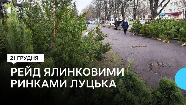 У Луцьку серед продавців «святкових» дерев шукали порушників