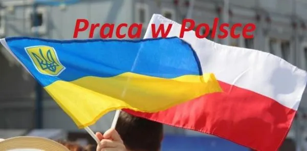 Польські роботодавці  назвали умови для працевлаштування українців
