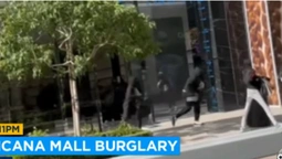 У США серед білого дня пограбували магазин Yves Saint Laurent на $300 тисяч (відео)