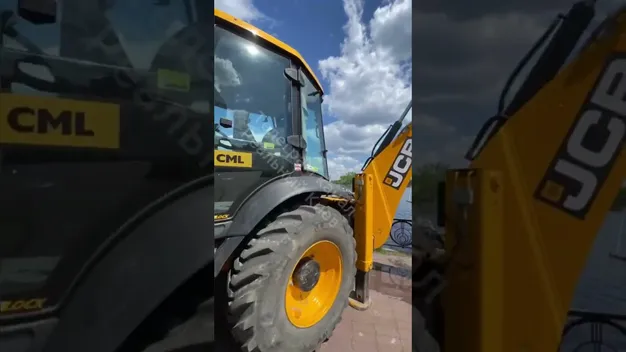 У Києві їжака, який мало не потонув, рятували екскаватором (відео)