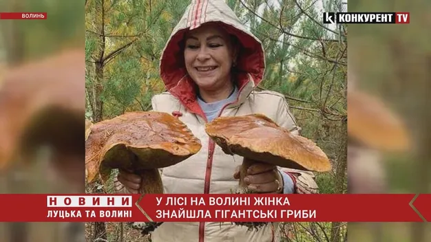 У лісі на Волині жінка знайшла гігантські гриби (фото, відео)