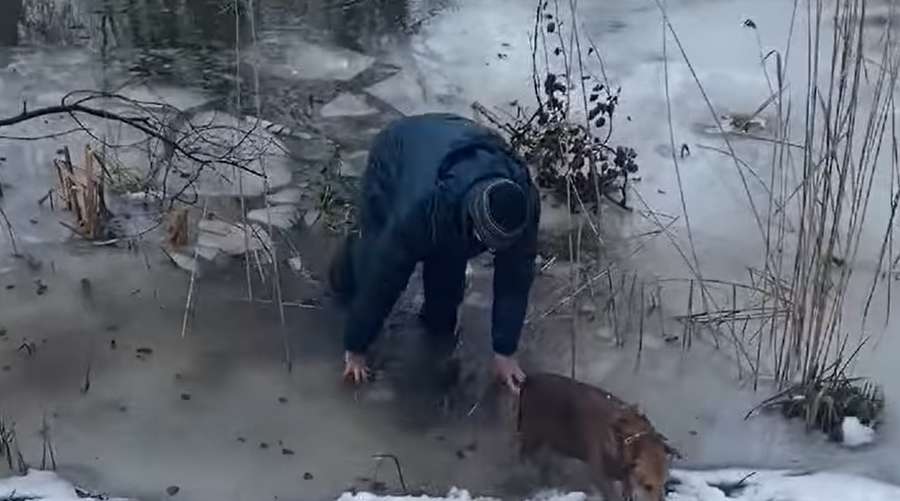 У Луцьку чоловік з великим серцем врятував собаку, що тонув (фото)