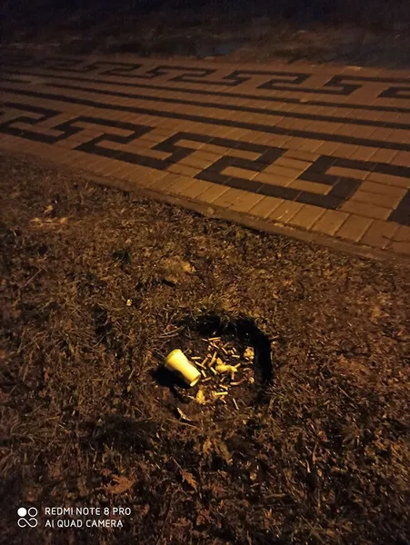 У луцькому парку поперевертали смітники (фото)