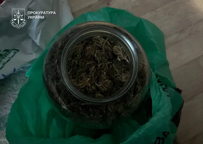 Зберігав пів кіло канабісу та коноплі: на Волині порушнику оголосили підозру (фото)