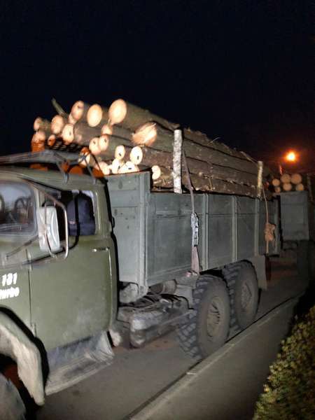 У Ратно зупинили вантажівку із незаконною деревиною. ФОТО