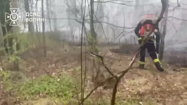 Унікальні скарби природи – під загрозою: у лісі на Волині спалахнув вогонь (відео)