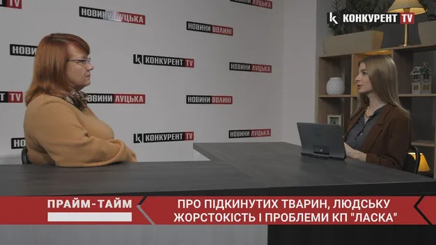 Куди звертатись, якщо на вулиці знайдена травмована тварина? (відео)