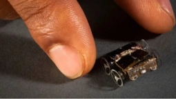 У США розробили мініатюрного робота, який може працювати на радіохвилях (відео)