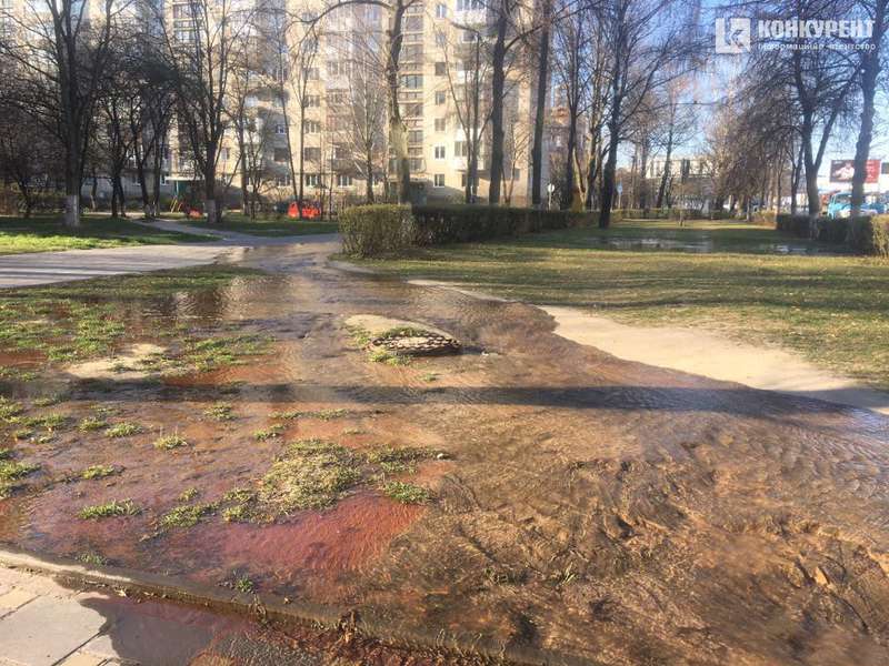 На Собороності у Луцьку б’є «фонтан»: водою заливає тротуар (фото, відео)