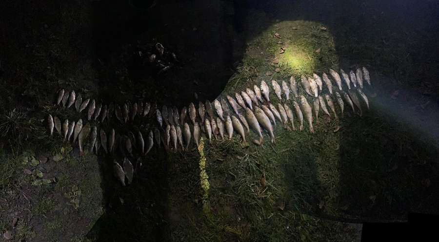 На Світязі браконьєри на човні сіткою наловили риби на 500 тисяч (фото)