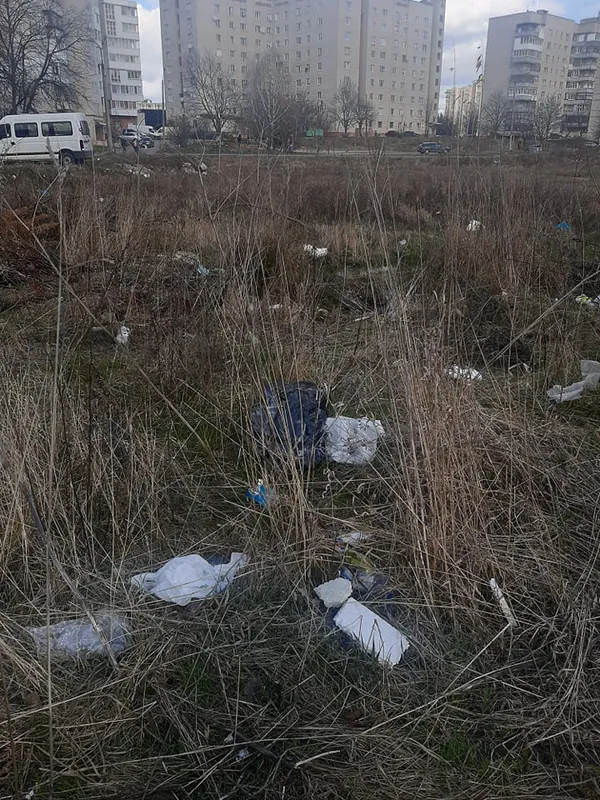 Не моє сміття, але моя планета: луцька школярка започаткувала корисний челендж (фото)