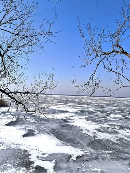 Трава на берегах і крига на воді: на Світязі зима зустрічає весну (фото)