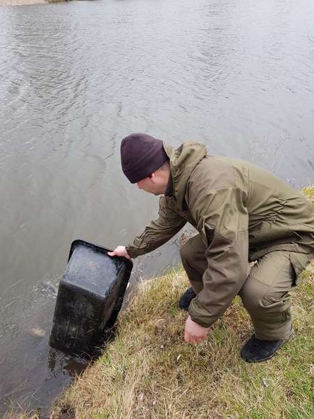 У ставок на Горохівщині вселили майже 400 кілограмів риби (фото, відео)