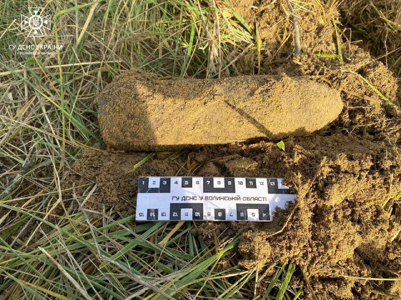 Волинські сапери знайшли 8 снарядів у Луцькому районі та 46 – на Донеччині (фото)