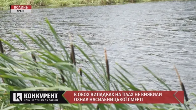 На Волині у ставку втопився дворічний хлопчик