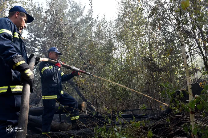 У Луцькому районі майже дві доби гасять масштабну лісову пожежу (фото)