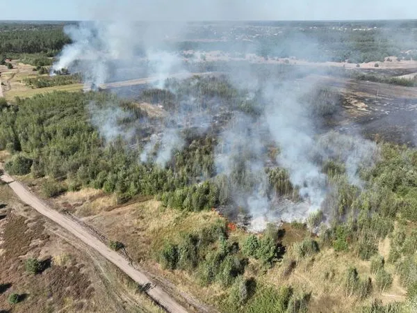 Горіли суха трава, чагарники та ліс: на Волині за добу загасили 19 пожеж в екосистемах (фото)