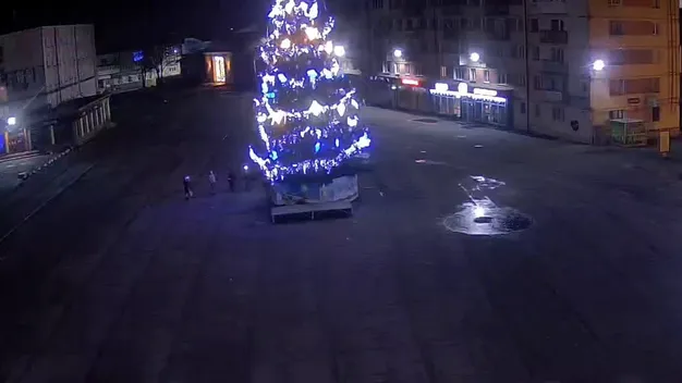 У Володимирі хлопець забрався на головну ялинку міста (відео)