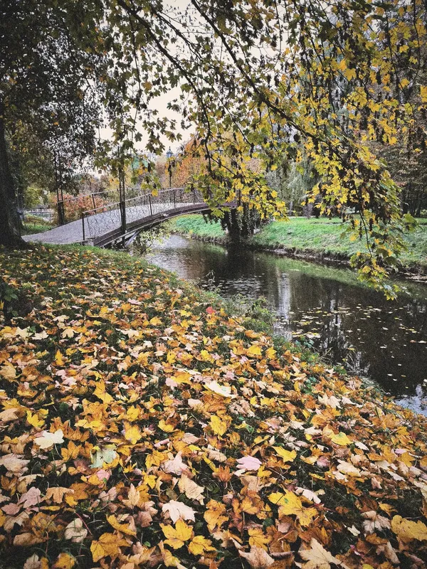 Луцький парк увібрався в осінні барви: атмосферні фото